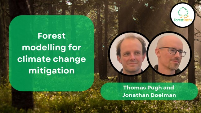Forest modelling for climate change mitigation: interview with Thomas Pugh and Jonathan Doelman
