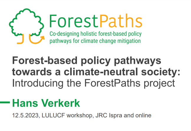 ForestPaths in dialogue with key stakeholders for GHG reporting