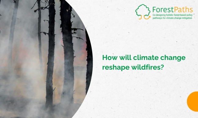 How will climate change reshape wildfires? A ForestPaths study