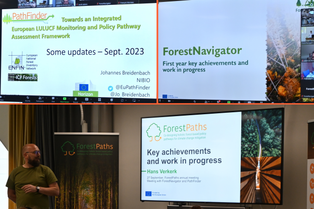 Charting paths together: ForestPaths and sister projects unite at annual meeting to discuss collaboration