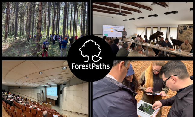 Demo case workshops highlight Climate and Biodiversity-Smart solutions across Europe