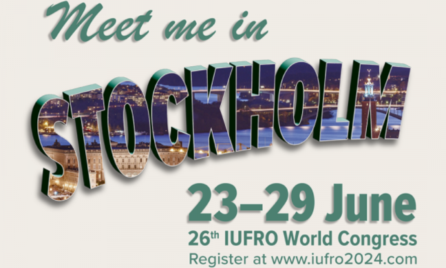 ForestPaths researchers at IUFRO 2024