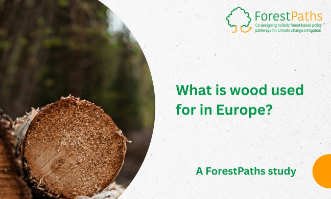 What is wood used for in Europe? A ForestPaths analysis of wood flows across the EU