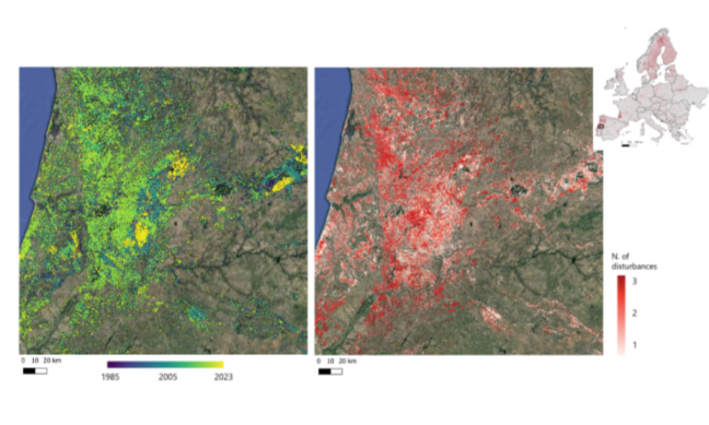 Next generation European forest disturbance maps now available