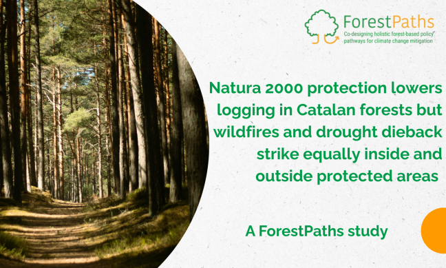 New ForestPaths paper: Natura 2000 protection lowers logging in Catalan forests but wildfires and drought dieback strike equally inside and outside protected areas