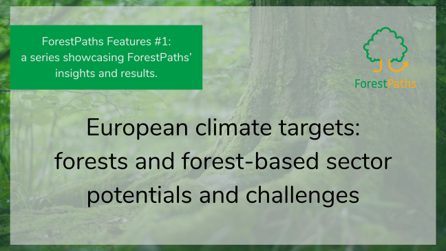 ForestPaths Features #1: Shaping the 2040 EU climate target - ForestPaths issues forest-based mitigation recommendations