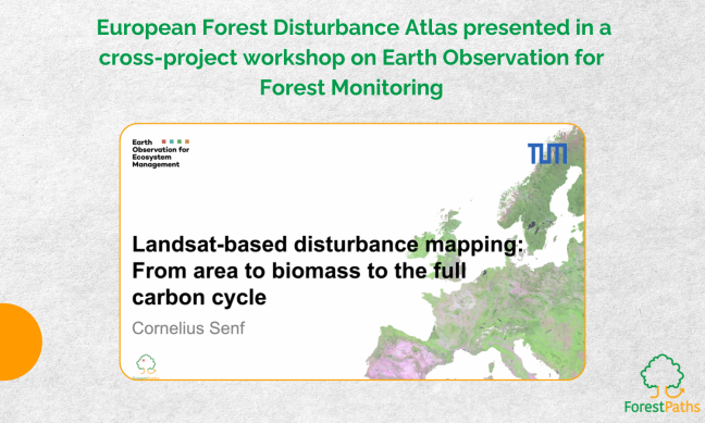 ForestPaths presents the European Forest Disturbance Atlas in a cross-project workshop on Earth Observation for Forest Monitoring