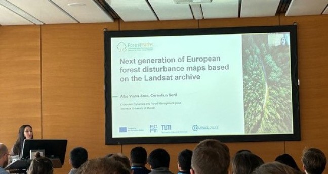 EGU23: ForestPaths presents the development of next generation forest disturbance maps