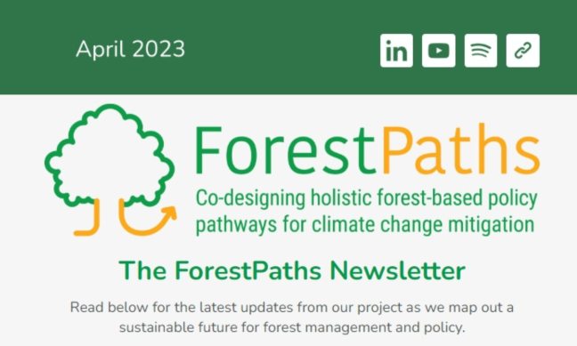 Up for grabs: ForestPaths’ first newsletter is out