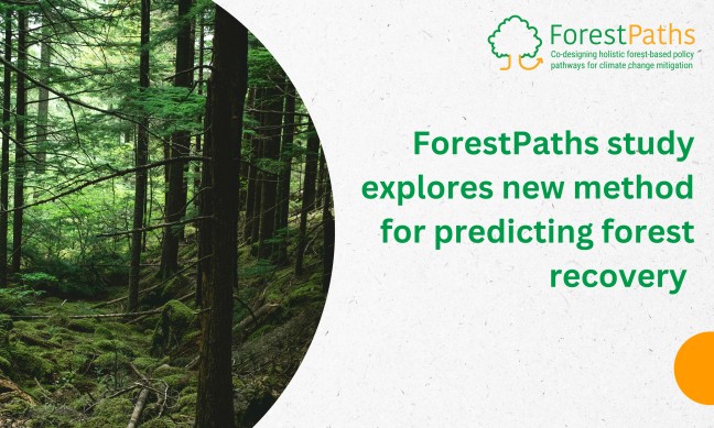 ForestPaths study explores new method for predicting forest recovery