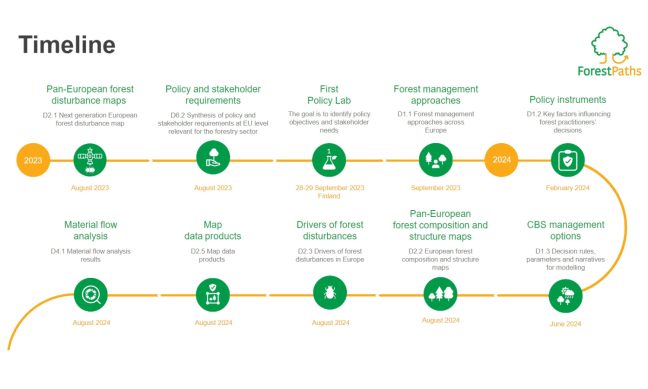 ForestPaths' timeline: Tracing the way towards holistic forest-based policy pathways for climate change mitigation