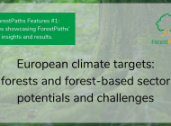ForestPaths Features #1: Shaping the 2040 EU climate target - ForestPaths issues forest-based mitigation recommendations