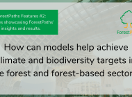 ForestPaths Features #2: Exploring the project’s next generation assessment framework