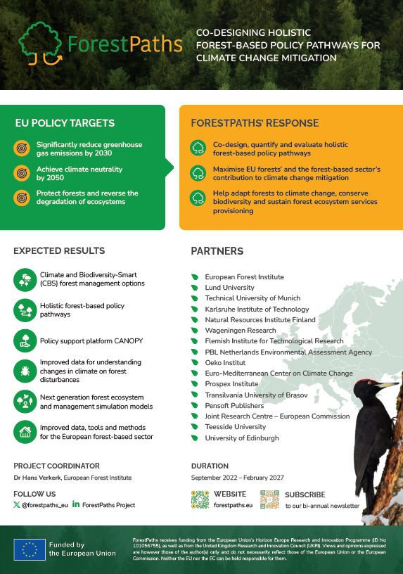 ForestPaths poster promotional material