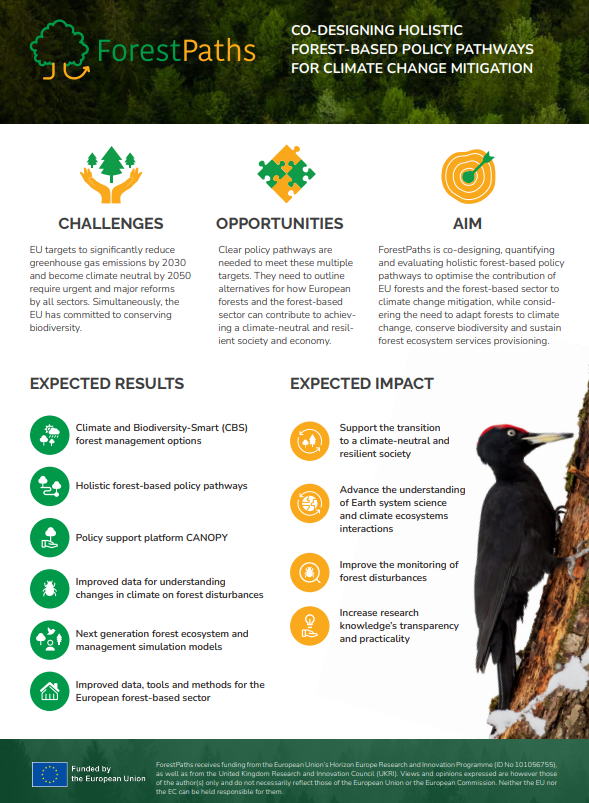 ForestPaths two-page project summary promotional material