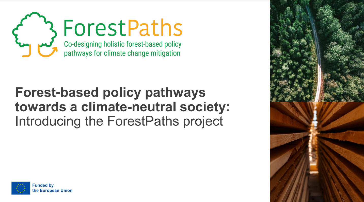 ForestPaths presentation promotional material