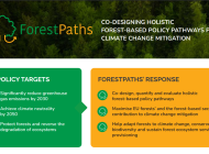 Now available: ForestPaths’ new poster