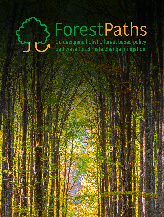 ForestPaths roll-up banner I promotional material