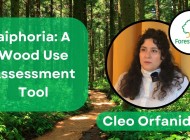 The wood use assessment tool aiphoria showcased in interview with project partner Cleo Orfanidou