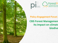 Forestry stakeholders come together to discuss Climate and Biodiversity-Smart forest management