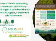 Forests’ role in addressing climate and biodiversity challenges: A collaboration by ForestNavigator, ForestPaths and PathFinder