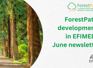 ForestPaths' latest developments featured in EFIMED's June 2025 newsletter