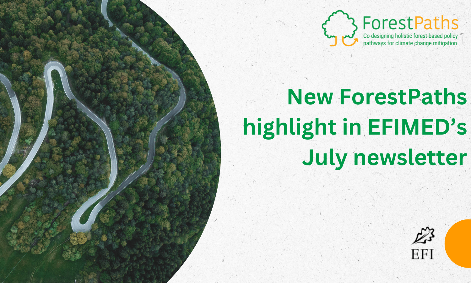 ForestPaths’ presentation at the Living Planet Symposium featured in the EFIMED newsletter